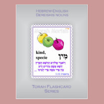 Torah Flashcards Series - Bereishis Nouns postcards