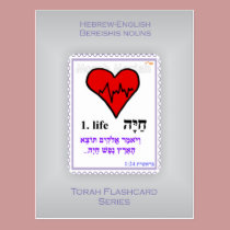 Torah Flashcards Series - Bereishis Nouns postcards