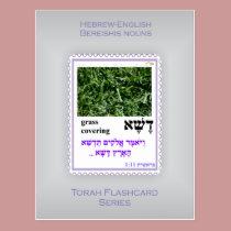 Torah Flashcards Series - Bereishis Nouns postcards