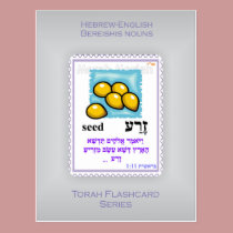 Torah Flashcards Series - Bereishis Nouns postcards