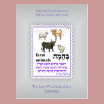 Torah Flashcards Series - Bereishis Nouns postcards