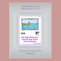 Torah Flashcards Series - Bereishis Nouns postcards