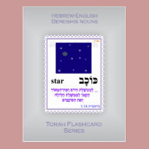 Torah Flashcards Series - Bereishis Nouns postcards