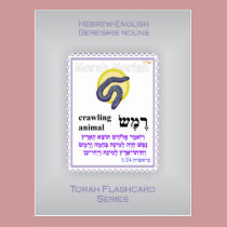 Torah Flashcards Series - Bereishis Nouns postcards