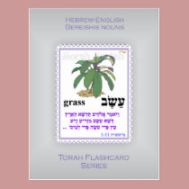 Torah Flashcards Series - Bereishis Nouns postcards