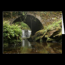 Torc Bridge cards