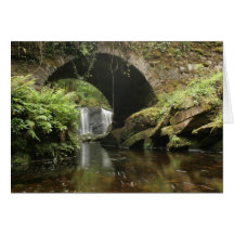 Torc Bridge Cards
