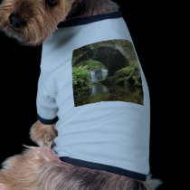 Torc Bridge pet clothing