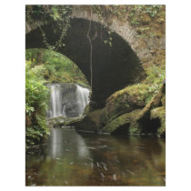 Torc Bridge Full Color Flyer