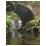 Torc Bridge flyers