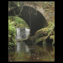 Torc Bridge letterhead