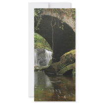 Torc Bridge Customized Rack Card