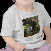 Torc Bridge t-shirts