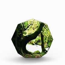 Torc Waterfall Acrylic Award