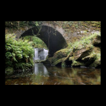 Torc Waterfall Bridge posters