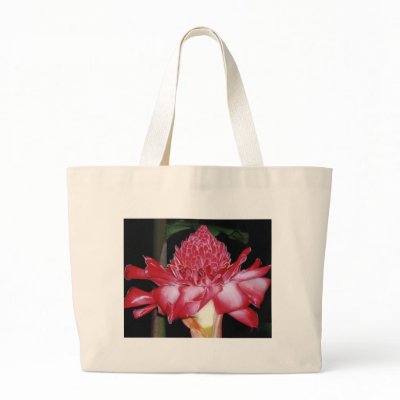 Torch Ginger Bags by reinaltong