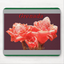 Torch Ginger mousepads