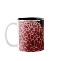 torch ginger mugs