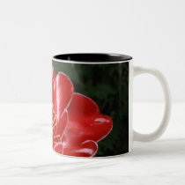 torch ginger mugs by britbikegirl torch ginger mugs