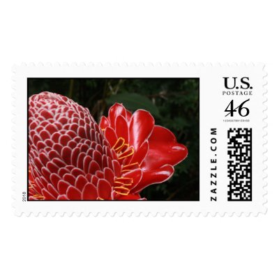 torch ginger postage stamps by britbikegirl