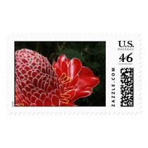 torch ginger postage