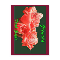 Torch Ginger postcards by Swordobic Torch Ginger postcards