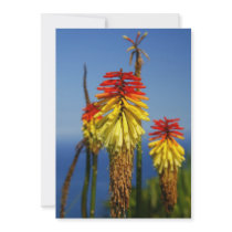 Torch lilies custom invitation