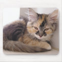 Tori mousepads