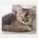 Tori mousepads