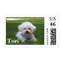 Tori, the cute, little, white dog postage