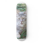 toris 167, What? Custom Skateboard