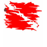 Torn and Tattered Dive Flag