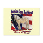 Torn Flag Cream Postcard