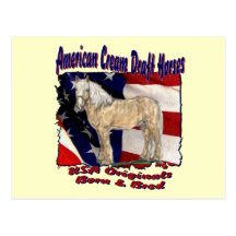 Torn Flag Cream Postcard