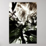 Torn posters