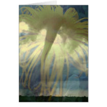 Tornado Inula cards