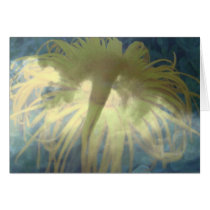 Tornado Inula cards