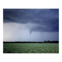 Tornado Warning posters by gust_front Tornado Warning posters