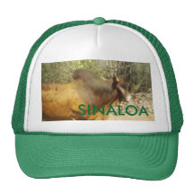 toro, SANTANITA, SINALOA - modificado para requisi Gorro De Camionero