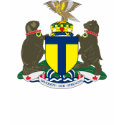 Toronto Coat of Arms T-shirt