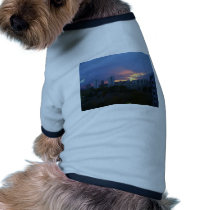 Toronto's Sunset pet clothing