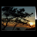 Torrey Pine Sunset Card