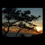Torrey Pine Sunset Poster Print