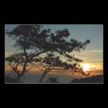 Torrey Pine Sunset Sticker