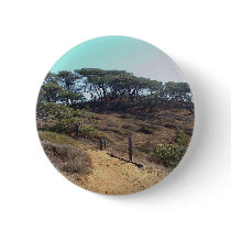Torrey Pines State Park These Would Be The Torrey buttons
