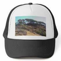 Torrey Pines State Park These Would Be The Torrey hats