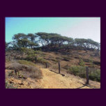 Torrey Pines State Park These Would Be The Torrey