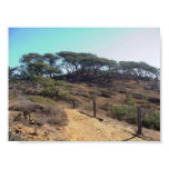 Torrey Pines State Park These Would Be The Torrey