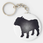 Torro Glare Key Chains