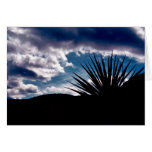 Torry yucca greeting card